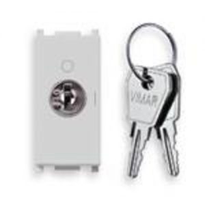 Plana Silver