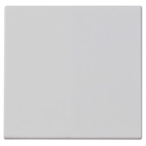 Plana Silver