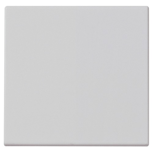 Plana Silver