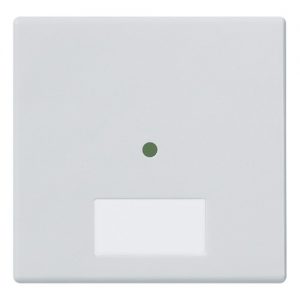 Plana Silver
