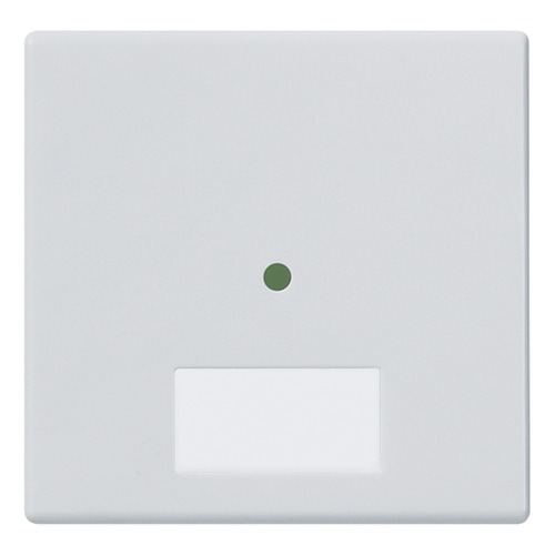 Plana Silver