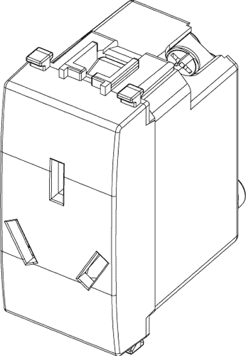 20251