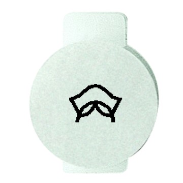 Gewiss System Symbol Disc Waiter GW20542
