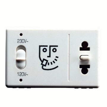 Gewiss System 230/120V Euro/Usa Shaver Priza Sy/Wt GW20841