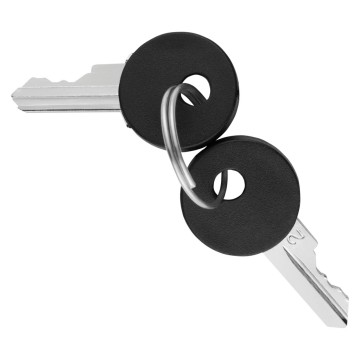 Gewiss System Set 2 Keys For Command Devices GW20901