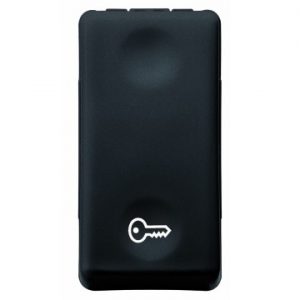 Gewiss System Buton Cu Revenire-1P Na 10A -Door- Sy/Bk GW21511