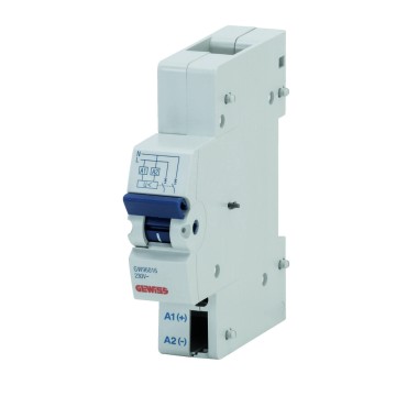 Siguranta automata Under Voltage Release (Delayable) 48V GW96018