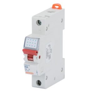 Siguranta automata Switch Disconnector 1P 125A GW96149