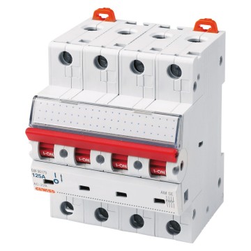 Siguranta automata Switch Disconnector 4P 63A GW96176